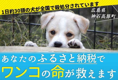 全国の犬猫の「殺処分ゼロ」が目標のプロジェクト